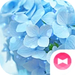 blue hydrangea theme android application logo